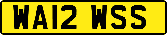 WA12WSS