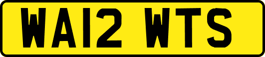 WA12WTS
