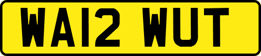 WA12WUT