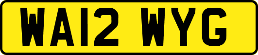 WA12WYG