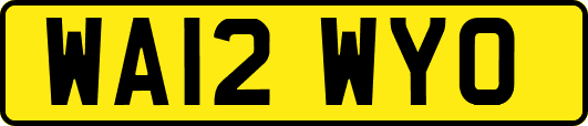 WA12WYO