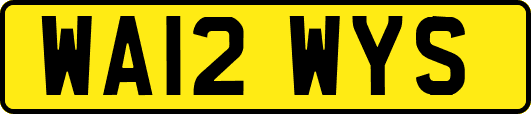 WA12WYS