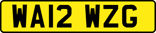 WA12WZG