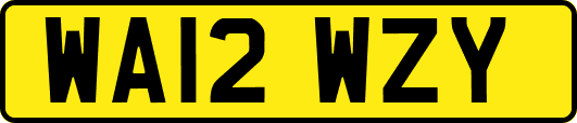 WA12WZY