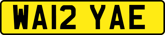WA12YAE