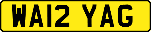 WA12YAG