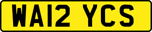 WA12YCS