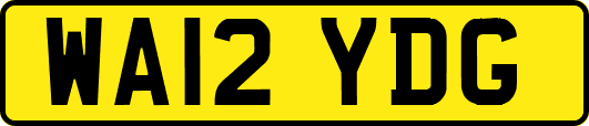 WA12YDG