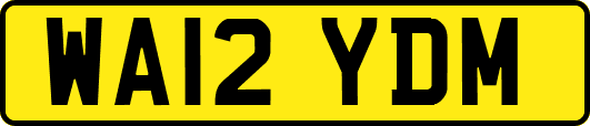 WA12YDM
