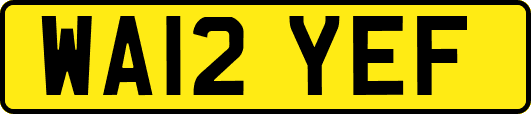 WA12YEF