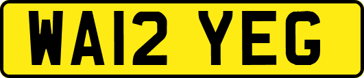 WA12YEG