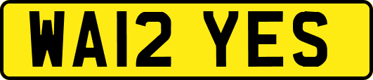 WA12YES
