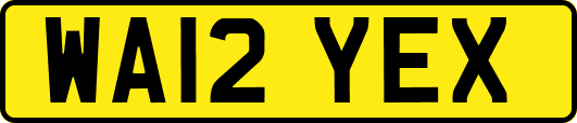 WA12YEX