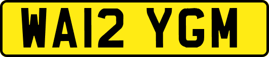 WA12YGM