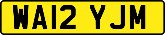 WA12YJM