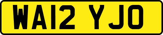 WA12YJO