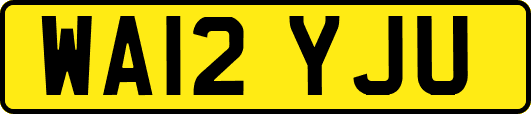 WA12YJU