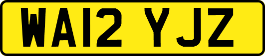 WA12YJZ