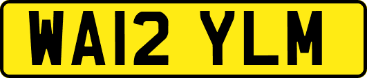 WA12YLM