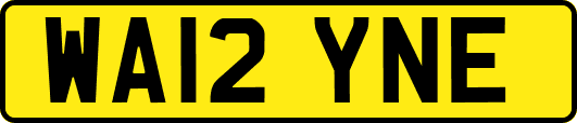 WA12YNE