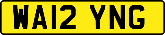 WA12YNG