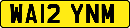 WA12YNM