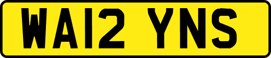 WA12YNS