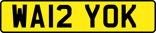 WA12YOK
