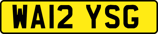 WA12YSG