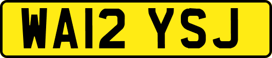WA12YSJ