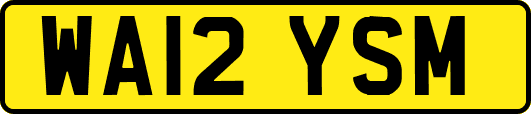 WA12YSM