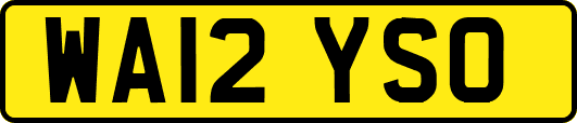 WA12YSO