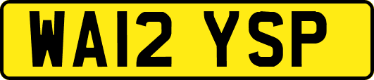 WA12YSP