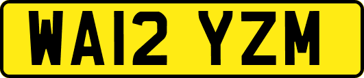 WA12YZM