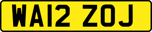 WA12ZOJ