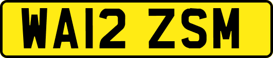 WA12ZSM