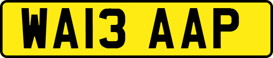 WA13AAP