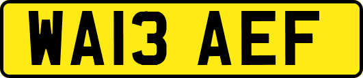 WA13AEF