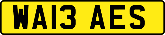 WA13AES