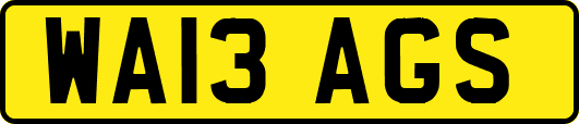 WA13AGS