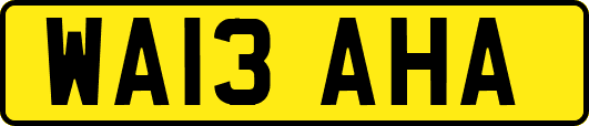 WA13AHA