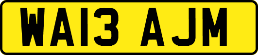 WA13AJM