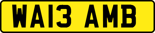 WA13AMB