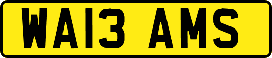 WA13AMS