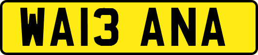 WA13ANA
