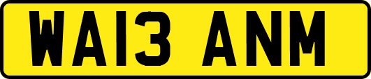 WA13ANM