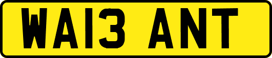 WA13ANT
