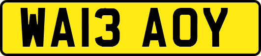 WA13AOY