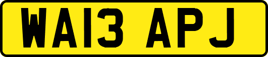 WA13APJ