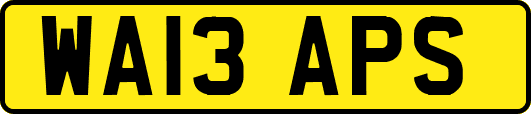 WA13APS